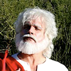 Plegeo Waxius
