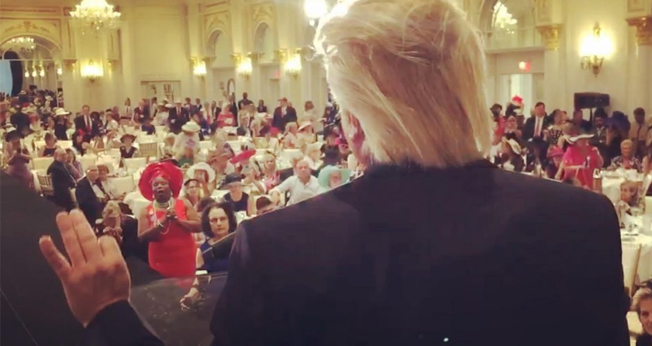 Trump 2020 0011 Layer 8